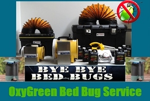 Single Visit Bed Bug Killer