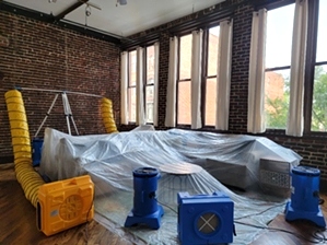 Allergen Removal Service