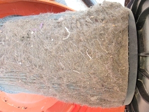 Allergen Removal Service